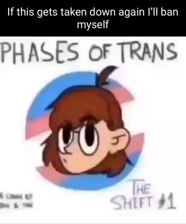 If this gets taken down again I'll ban myself PHASES OF TRANS - iFunny