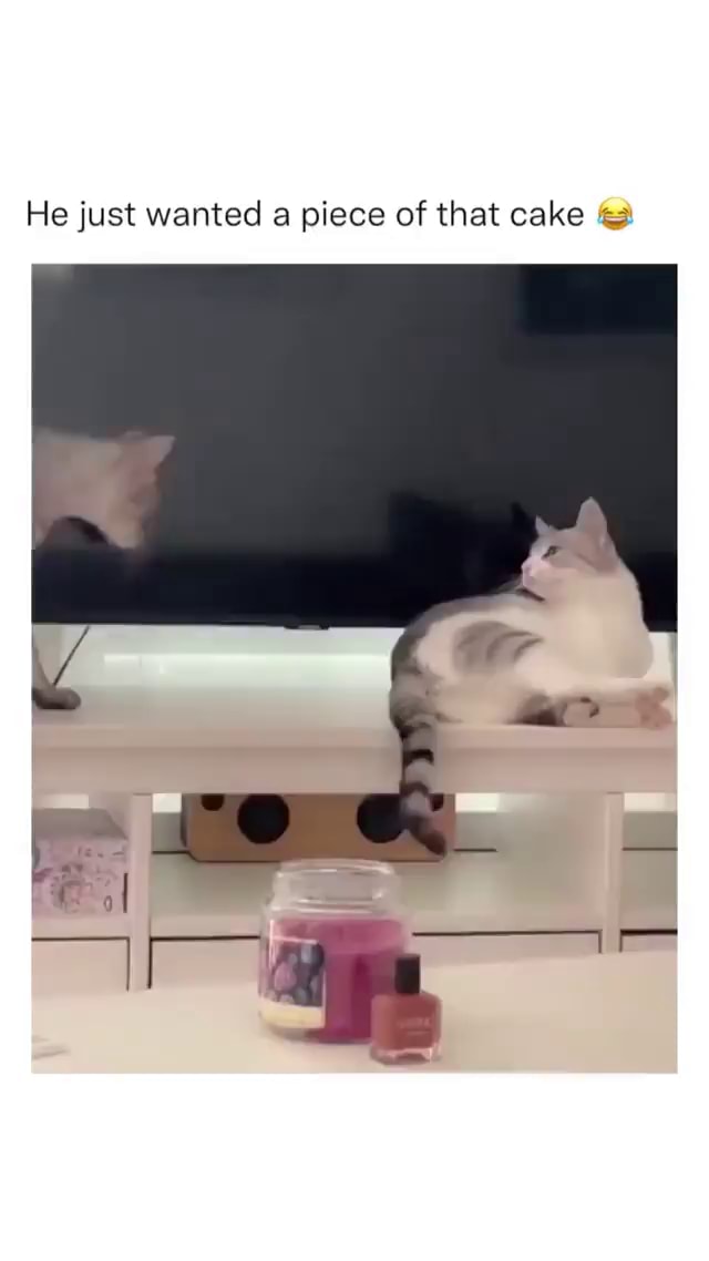 He just wanted a piece of that cake - iFunny