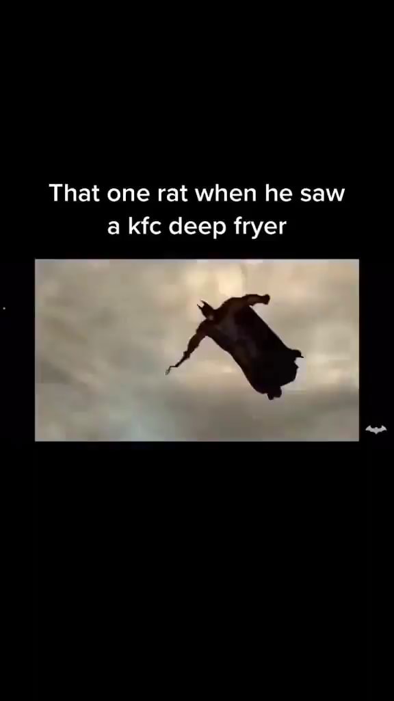 That one rat when he saw a kfc deep fryer iFunny