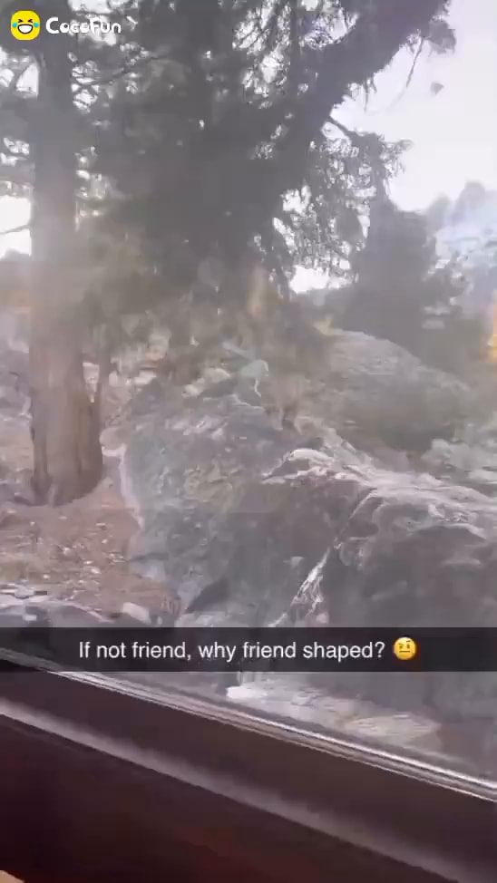 If not friend why friend shaped iFunny