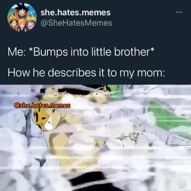 Sh she. hates. memes Me: *Bumps into little brother* How he describes ...