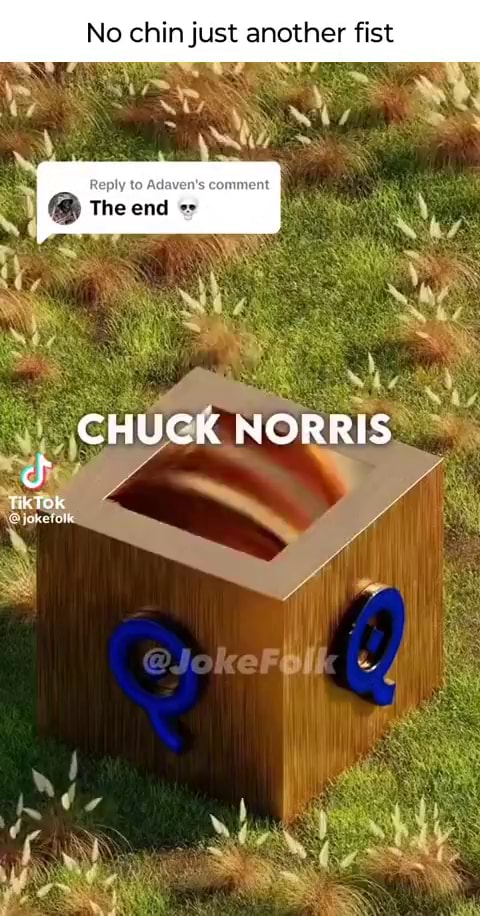 No chin just another fist to CHUCK NORRIS Tik Tok - iFunny