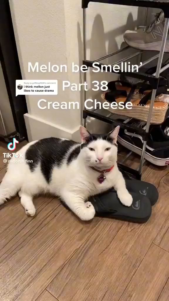 Melon be Smellin' Part 33 Cream Cheese TikTFok tene fina iFunny