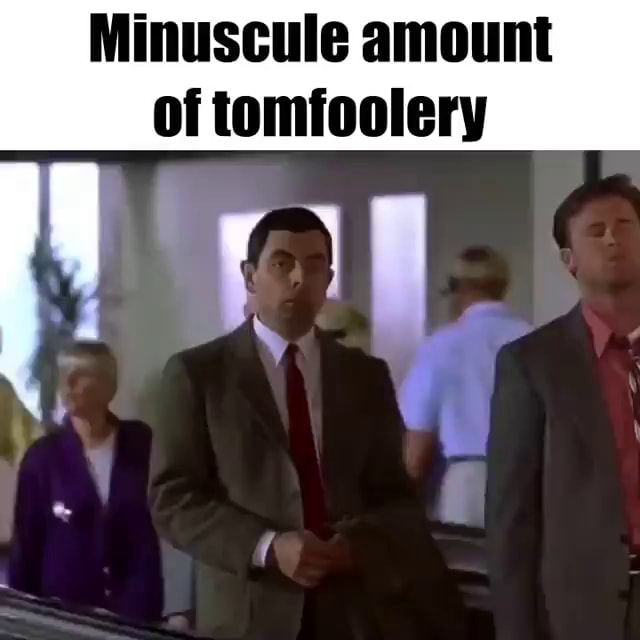 Minuscule amount of tomfoolery - iFunny