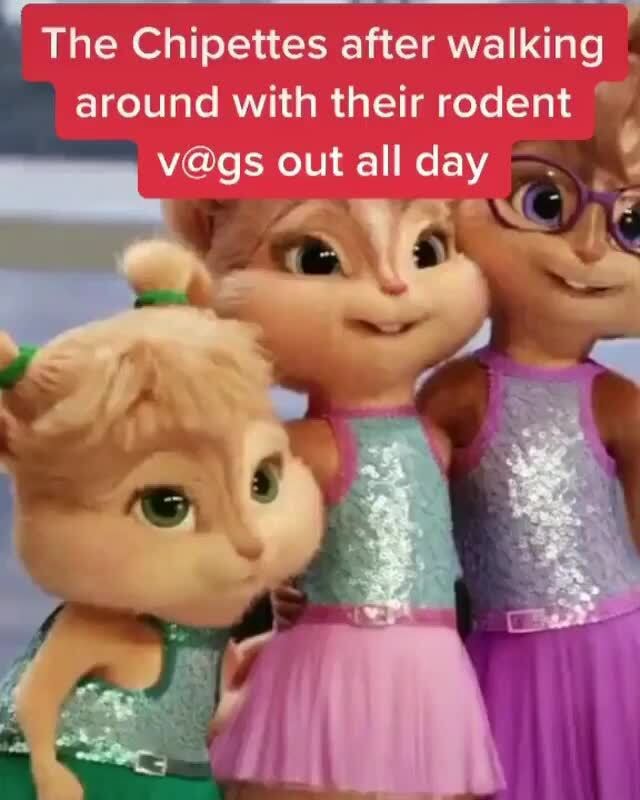 Answer The Questions - The Chipettes after walking around with their ...