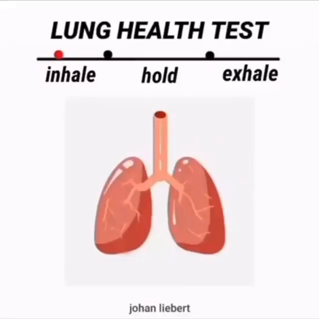 LUNG HEALTH TEST inhale hold exhale johan liebert iFunny