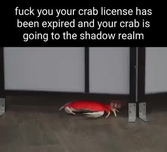 Fuck you your crab license has been expired and your crab is going to