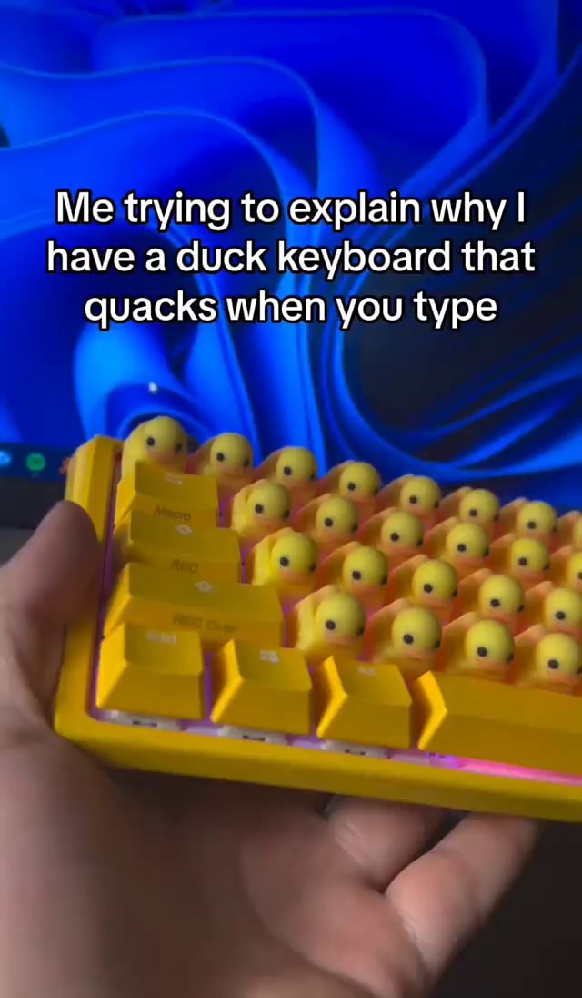 Me trying to explain why I have a duck keyboard that quacks when you
