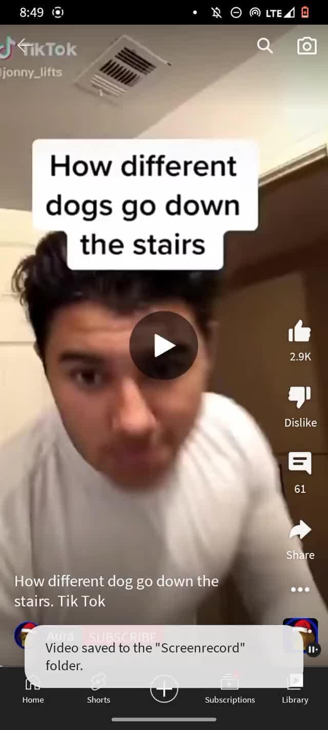 SfikTok wa jonny_lifts SS How different dogs go down the stairs 2.9K