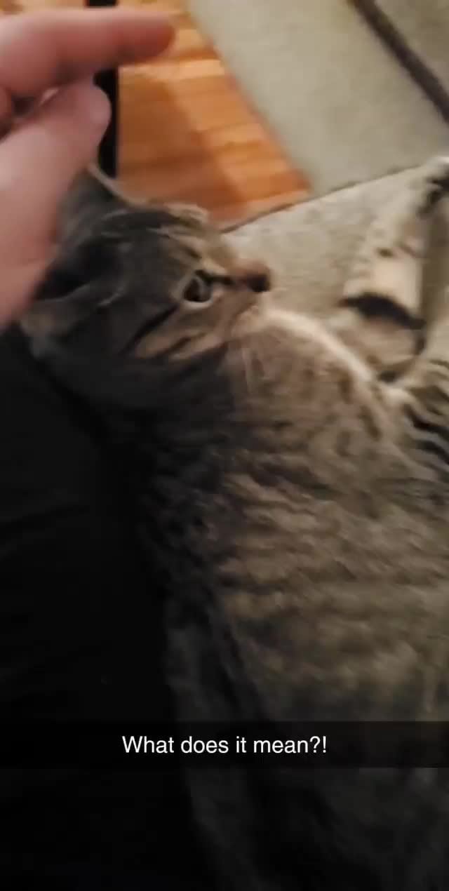 What does it mean?! iFunny