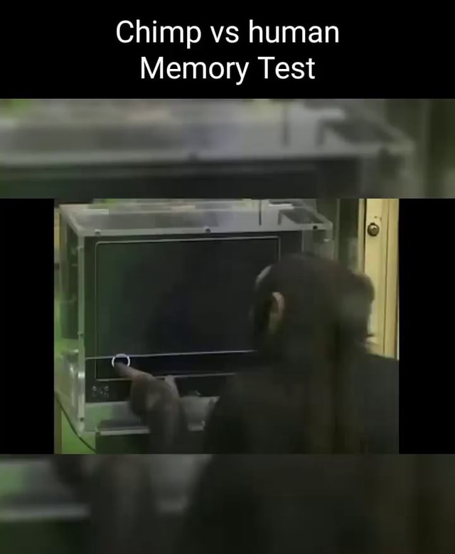 Chimp vs human Memory Test - iFunny