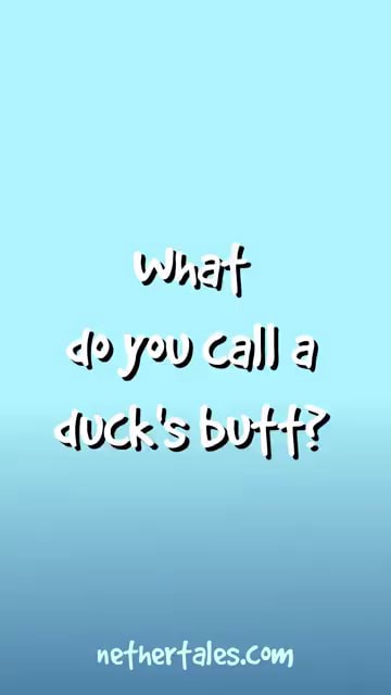 what-do-you-call-a-duck-s-butt-ifunny