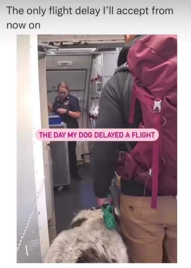 The only flight delay I'll accept from now on THE DAY MY DOG DELAYED A
