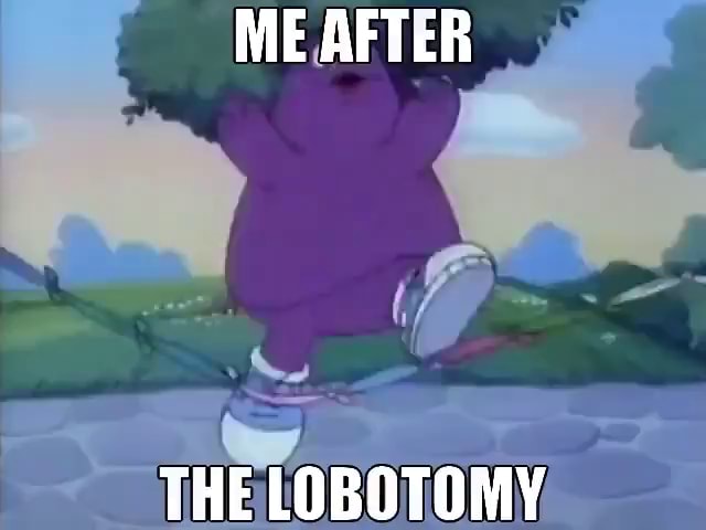 ME AFTER THE LOBOTOMY - iFunny