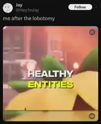 Lobotomy rule - me after the lobotomy - iFunny
