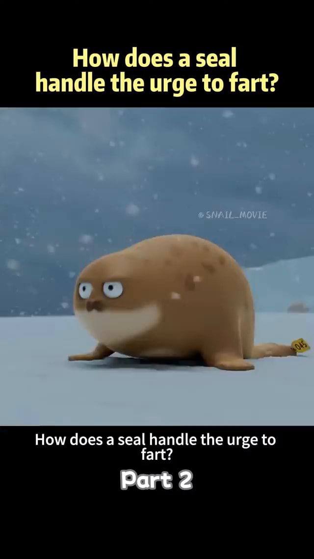 How does a seal handle the urge to fart? How does a seal handle the