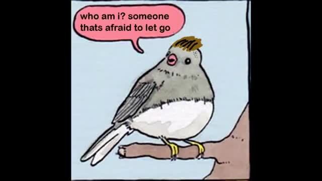 Who am i? someone thats afraid to let go - iFunny