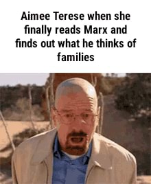 Aimee Terese When She Finally Reads Marx And Finds Out What He Thinks Of Families