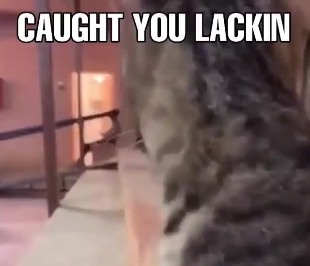 caught-you-lackin-ifunny