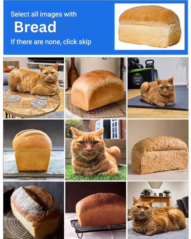 Select all images with Bread If there are none, click skip - iFunny