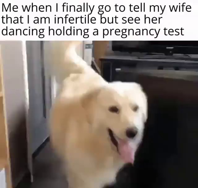 Me when I finally go to tell my wife that I am infertile but see her