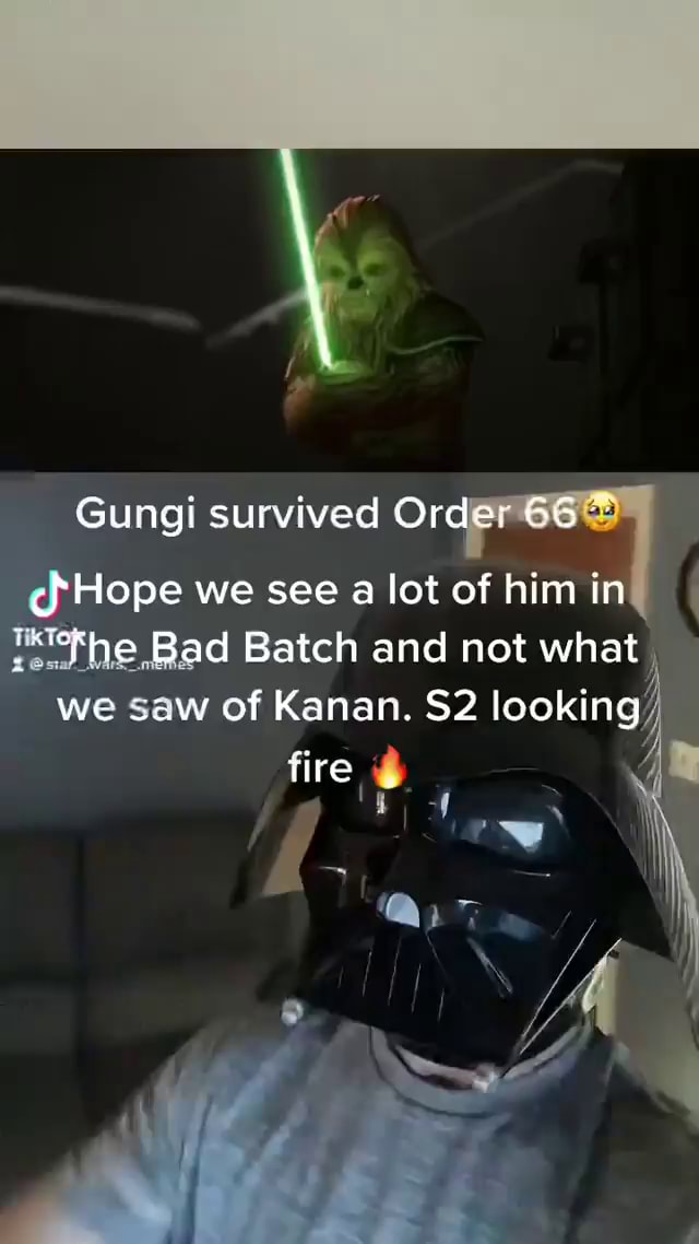 Gungi Survived Order 662 Hope We See A Batch Lot And Of Him Not Ing 