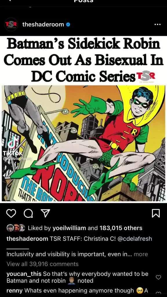 batman sidekick robin bisexual