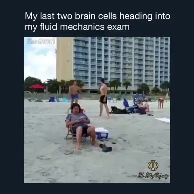 My last two brain cells heading into my fluid mechanics exam - iFunny