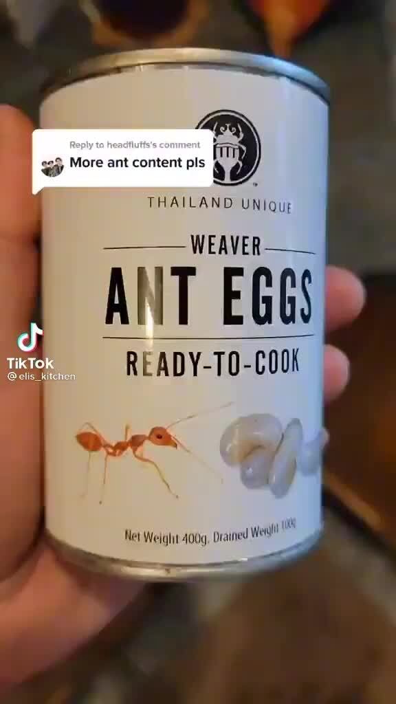 More ant content als THAILAND UNIQut WEAVER ANT EGGS) READYT0COOK Net