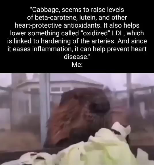 "Cabbage, seems to raise levels of betacarotene, lutein, and other