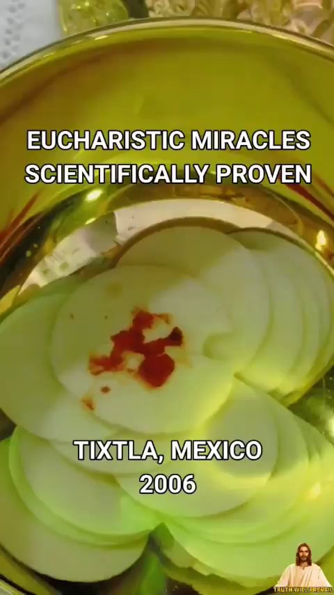 Eucharistic Miracles Scientifically Proven Tixtla Mexico 2006 Ifunny