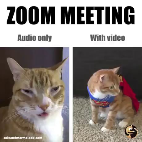 ZOOM MEETING Audio only With video - iFunny