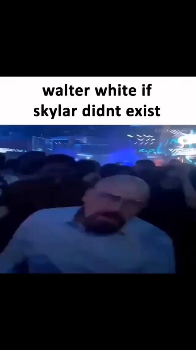 Walter white if skylar didnt exist SS iFunny