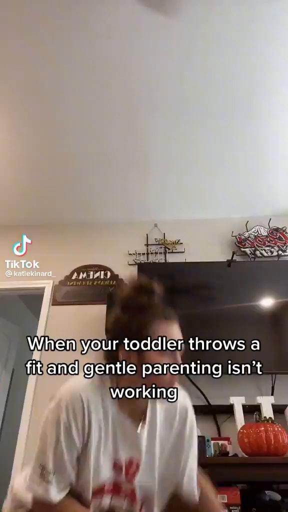 TikTok katrkanare, When your toddler throws a fit and gentle
