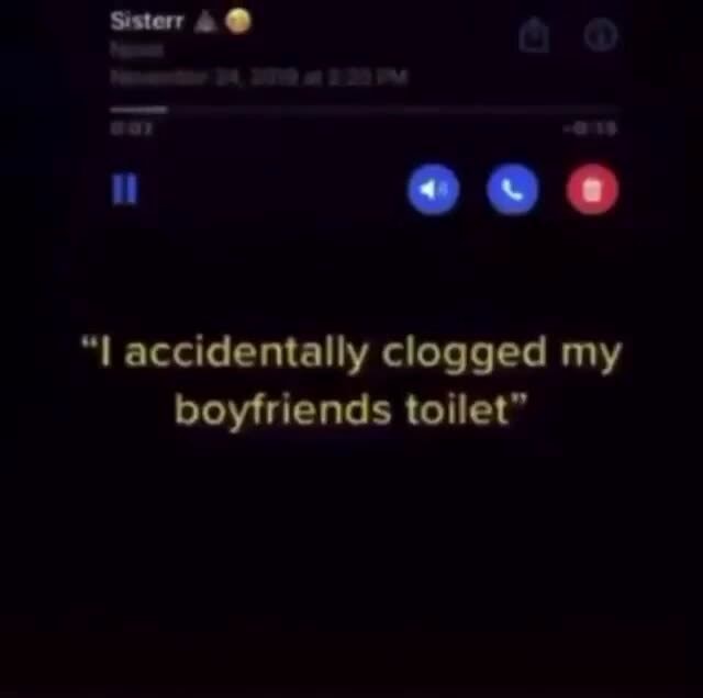 Sisterr "L accidentally clogged my boyfriends toilet" iFunny
