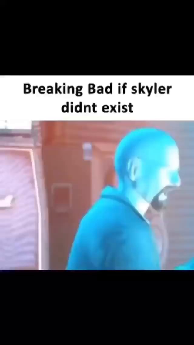 Breaking Bad if skyler didnt exist )