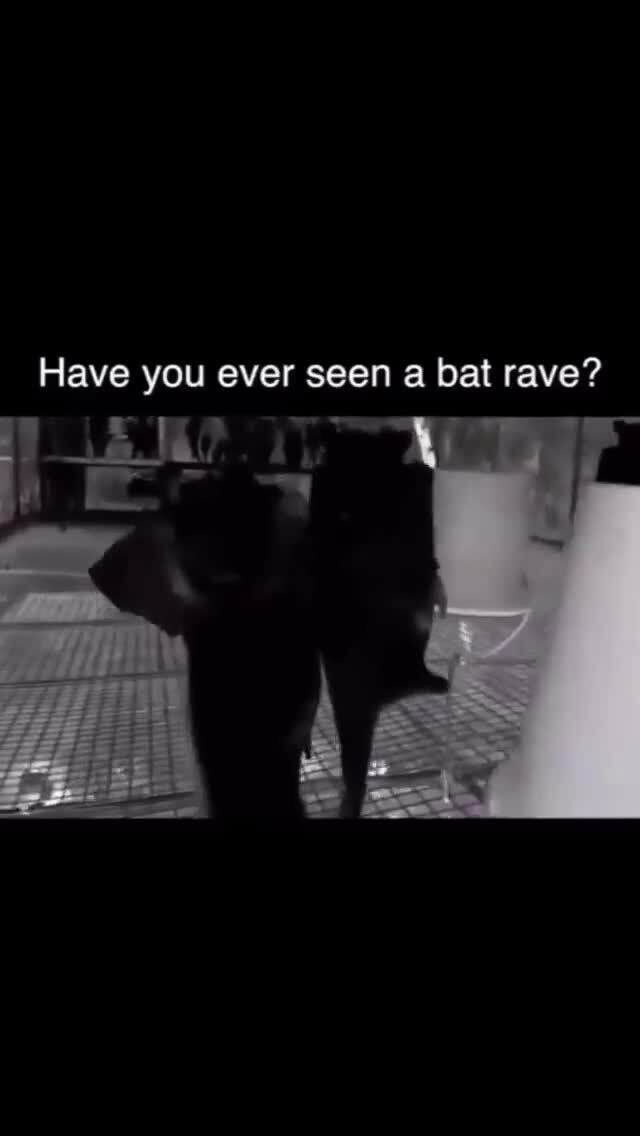 on Instagram Hanging bats filmed upsidedown look like a goth 🦇