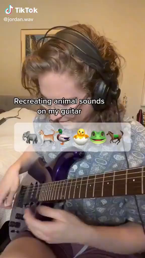 Ch TikTok jordan Recreating animal sounds on my guitar iFunny