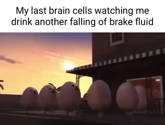 My last brain cells watching me drink another falling of brake fluid ...