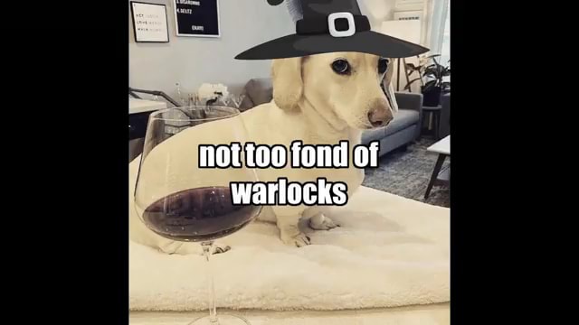 not too fond of warlocks