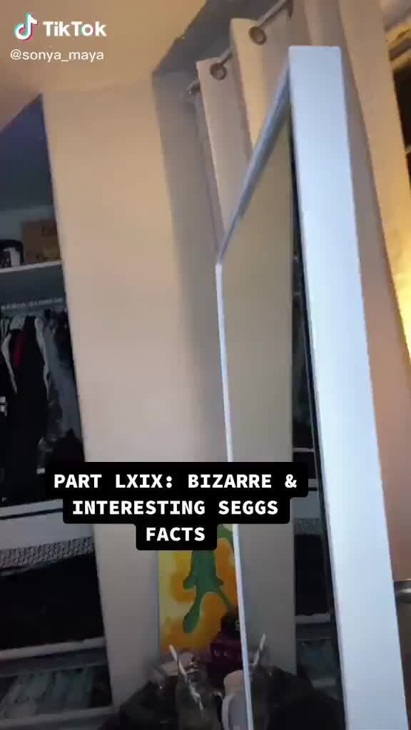 Ch TikTok @sonya maya PART LXIX: BIZARRE & INTERESTING SEGGS FACTS - iFunny