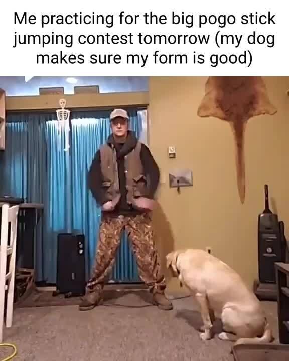 Me practicing for the big pogo stick jumping contest tomorrow (my dog