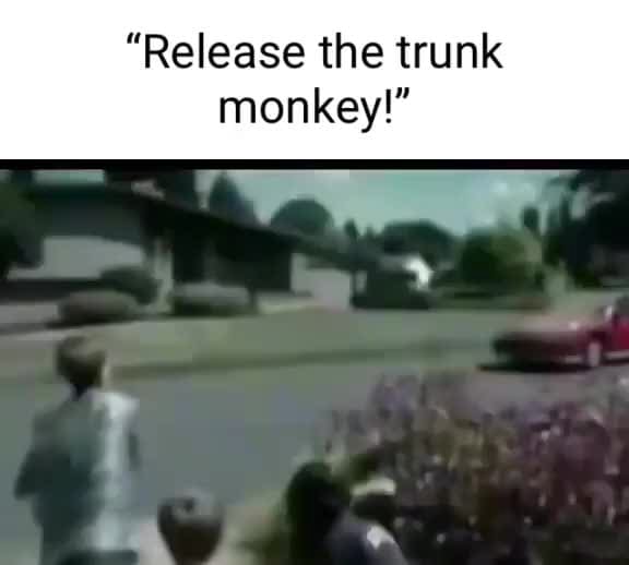 "Release the trunk monkey iFunny