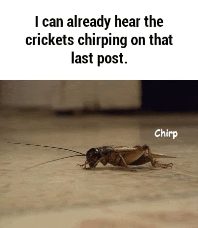 funny cricket sounds