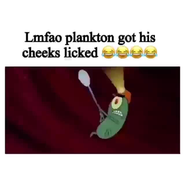 Meao Plankton Got His Cheeks Licked “ Ifunny Brazil