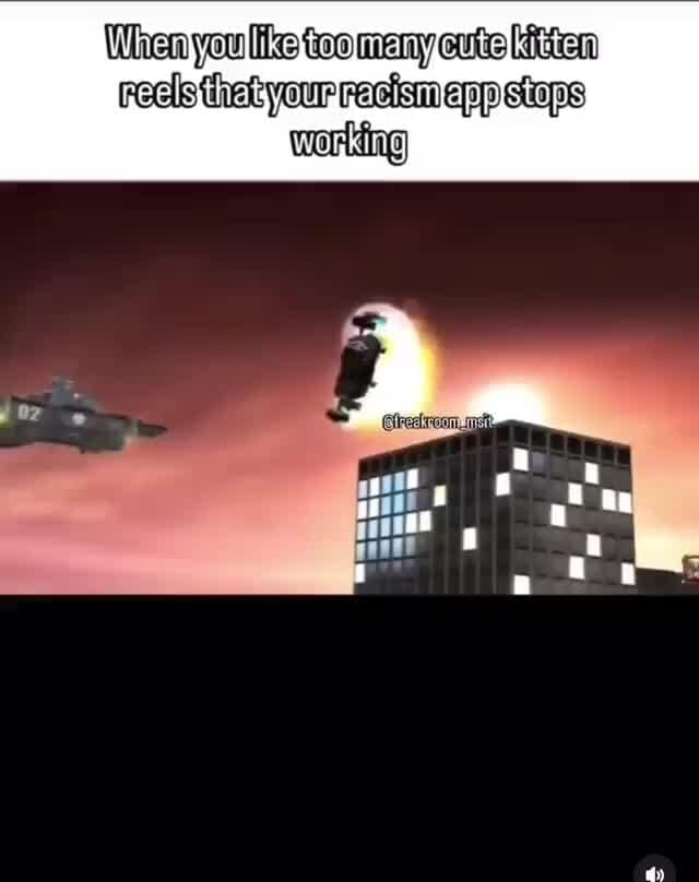 Kitien When you ie too meny cute kitien recls thet your recismepp stops - iFunny