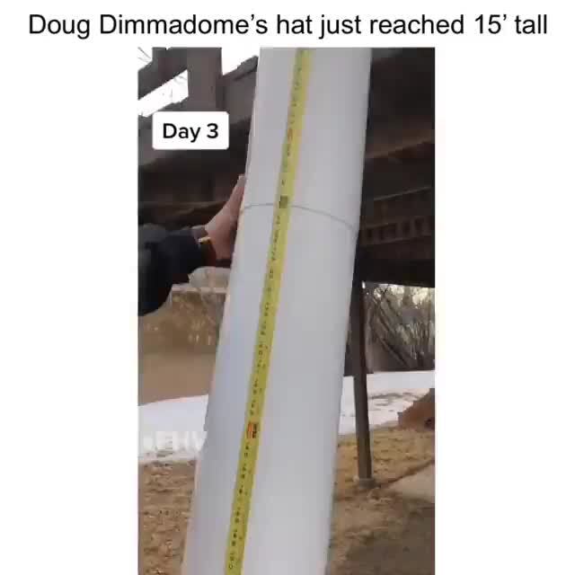 Doug Dimmadome's hat just reached 15' tall - iFunny