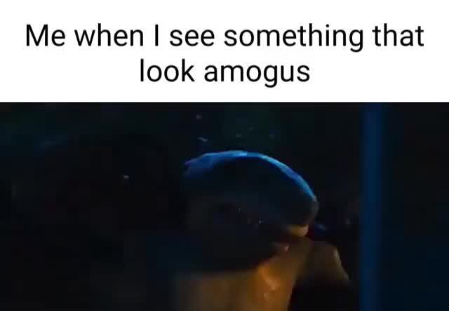 me-when-i-see-something-that-look-amogus-ifunny