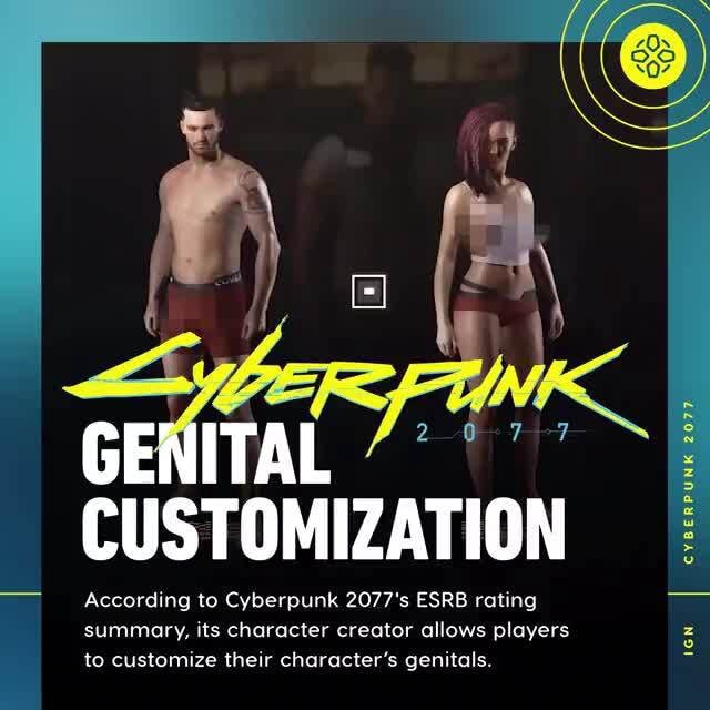 Genital Customization According To Cyberpunk S Esrb Rating Summary