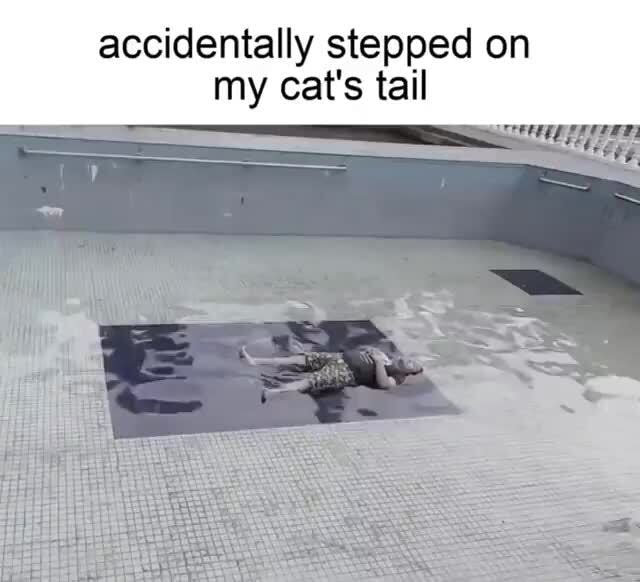 Accidentally stepped on my cat's tail iFunny